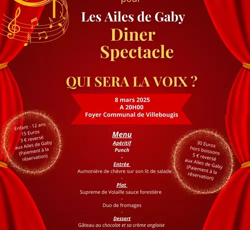 Soirée caritative au profit des ailes de Gaby le samedi 8 mars 2025 à 20h00 salle du foyer à Villebougis